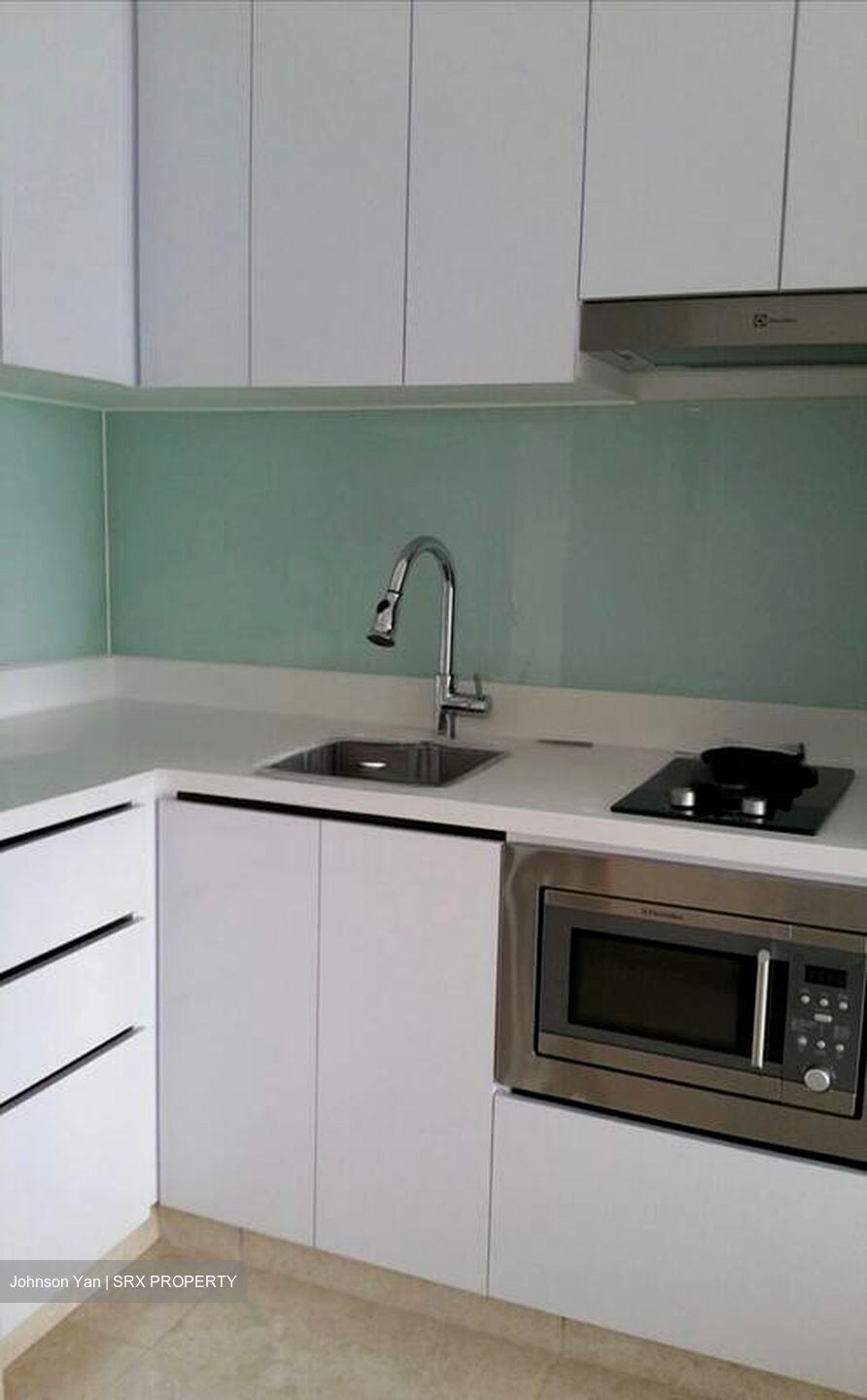 Eight Riversuites (D12), Condominium #501612571